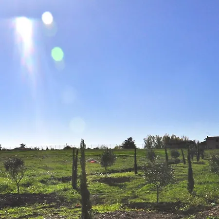 325 Tor Vergata 3*